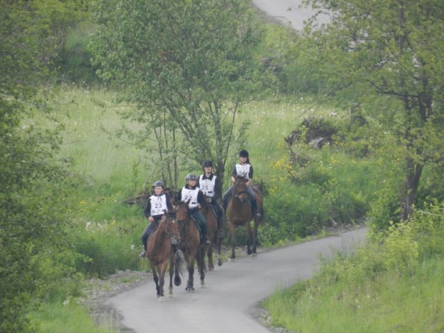 Rajd Mszana Górna 2015